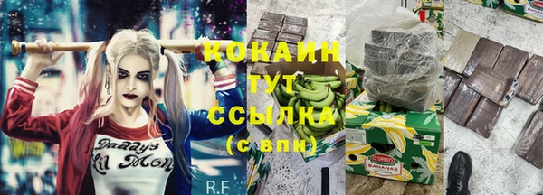 эйфоретик Богородск