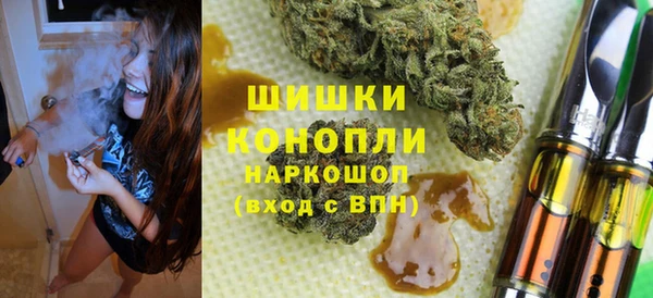 прущие грибы Шадринск
