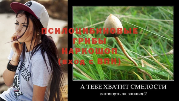 спиды Медногорск