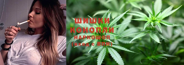твердый Шали