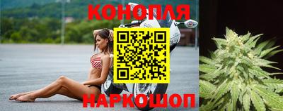 мяу мяу мука Апшеронск