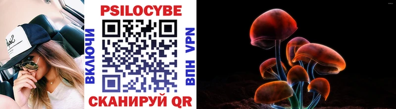 Псилоцибиновые грибы мицелий сколько стоит Маркс