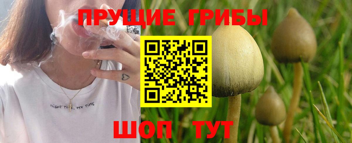 Псилоцибиновые грибы MAGIC MUSHROOMS Маркс